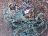 /images/about-meissa/03plastik-aktion/plastic-findings/2024_08_10.jpg